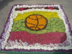 Nuotraukoje: gegužės mėnesį Joniškyje surengtoje šventėje „Lietuvos krepšinis - šalies ambasadorius pasaulyje“ teko matyti ir tokį floristinį kilimą